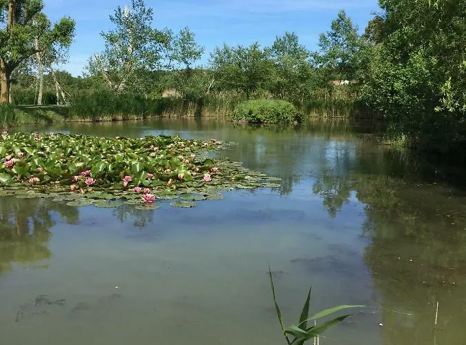 Сasa de vacaciones Marais Océan